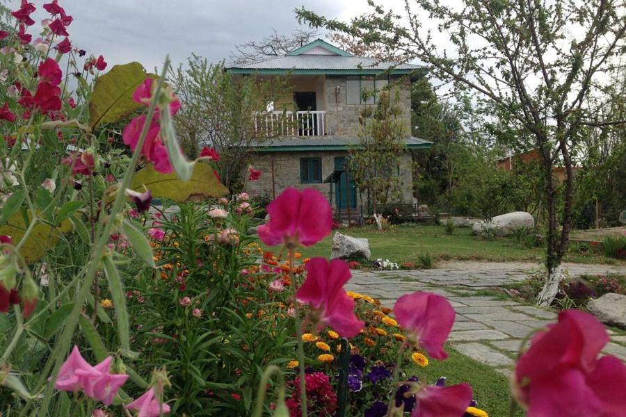 Nagri Resort Palampur Exterior photo