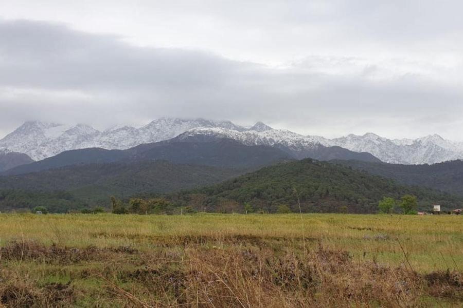 Nagri Resort Palampur Exterior photo