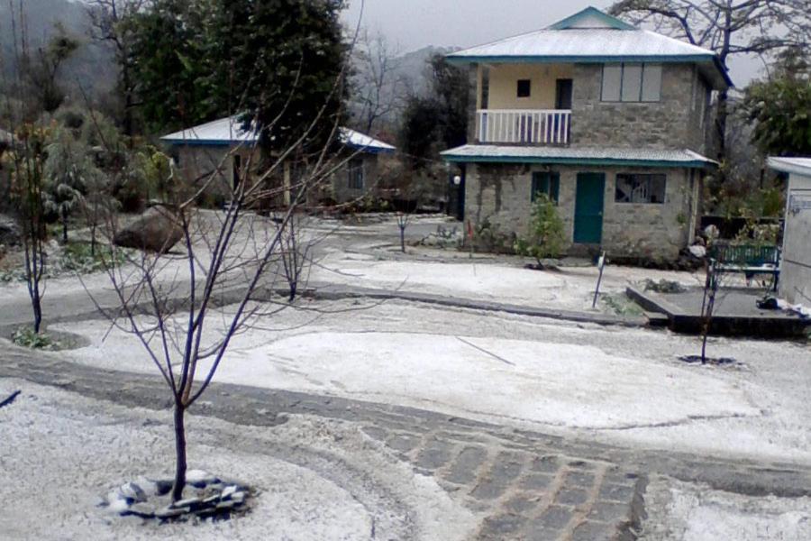Nagri Resort Palampur Exterior photo