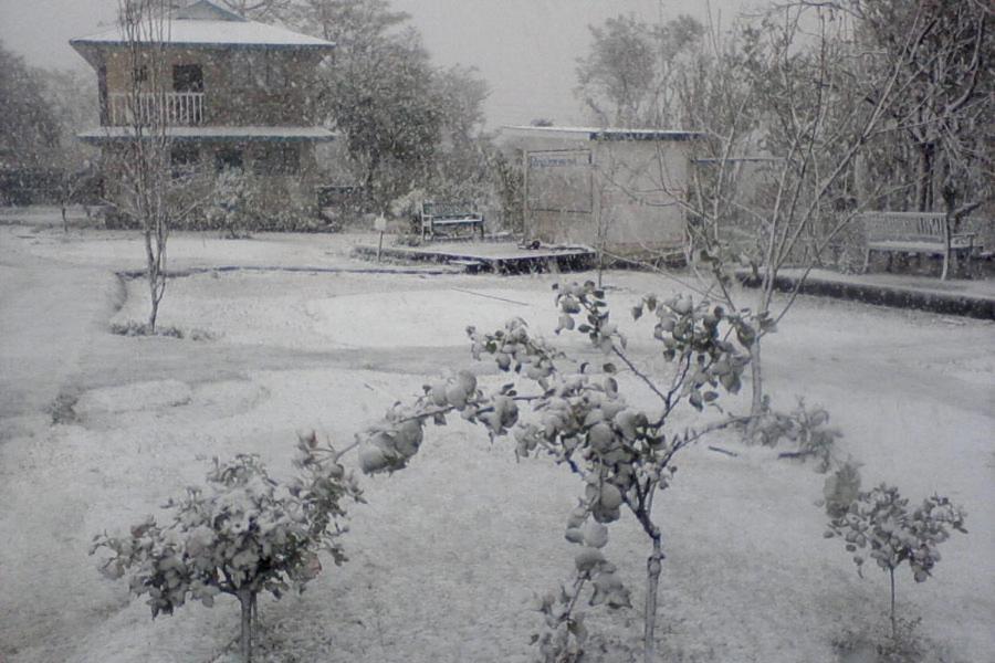 Nagri Resort Palampur Exterior photo