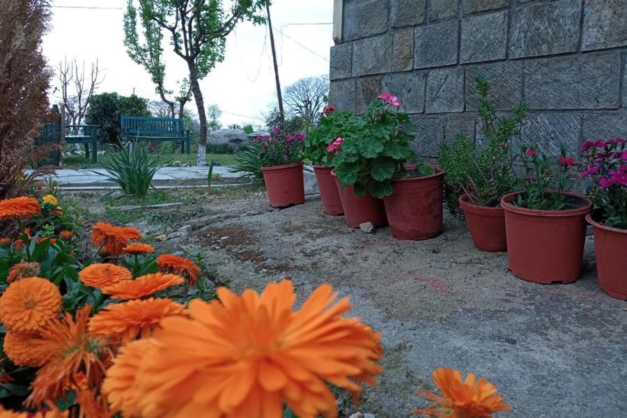 Nagri Resort Palampur Exterior photo