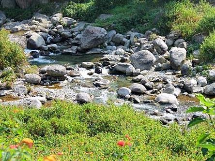 Nagri Resort Palampur Exterior photo